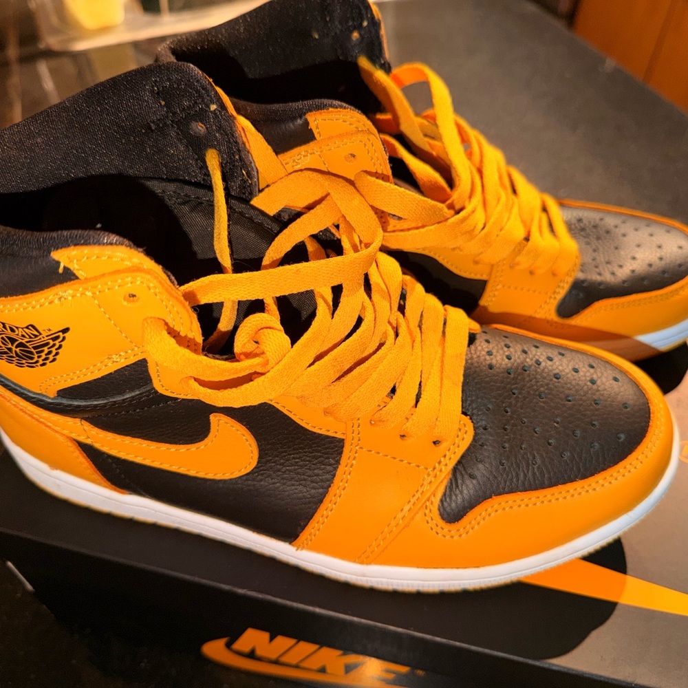 Jordan Pollen 1s Men’s 7.5